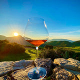 Stölzle Quatrophil punase veini pokaalid Burgundy 6tk