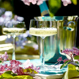 Stölzle Power shampusepokaalid/shampanjapokaalid/šampanja coupe