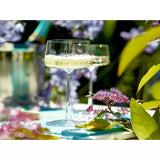 Stölzle Power shampusepokaalid/shampanjapokaalid/šampanja coupe