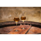 Stölzle Professional brändiklaasid/grappaklaasid