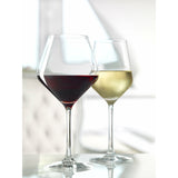 Stölzle Revolution valge veini pokaal ja punase veini pokaal Burgundy