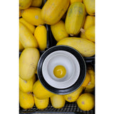 Jars musta värvi söögitaldrik Tourron