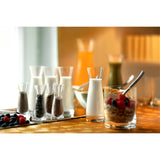 Stölzle karahvinid/shotiklaasid 4cl 6tk