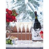 LSA International Wine sarja Prosecco pokaalid, shampusepokaal/shampuseklaas