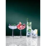 LSA International Gin/Tonic kotkeiliklaasid